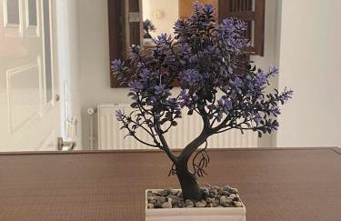 Kisamos Nice Apartment 3 - Foto 2