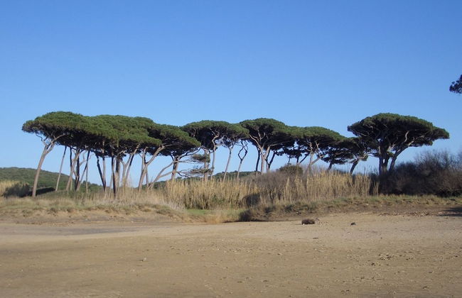 Splendid Relaxing Stay in the Tuscan Countryside - Foto 20