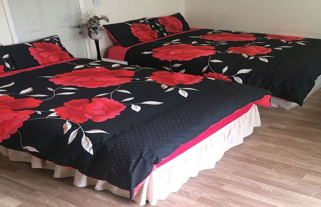 Martindale Flats with Parking - Foto 2