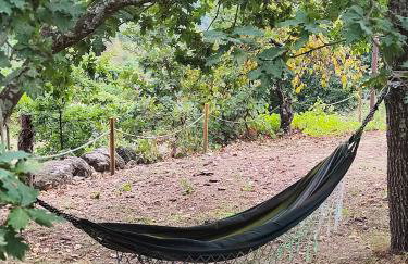 Casa do Reguengo, Freigil - Foto 51