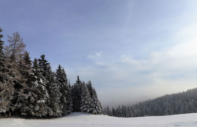 Schönhart - Foto 18