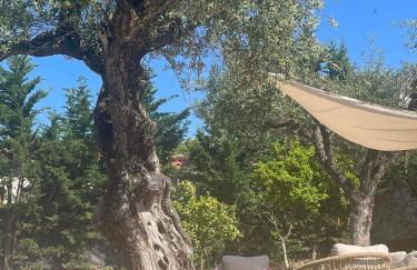 Nissi Collection Rooms - Foto 77