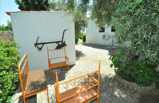 Flor da Laranja - Foto 8