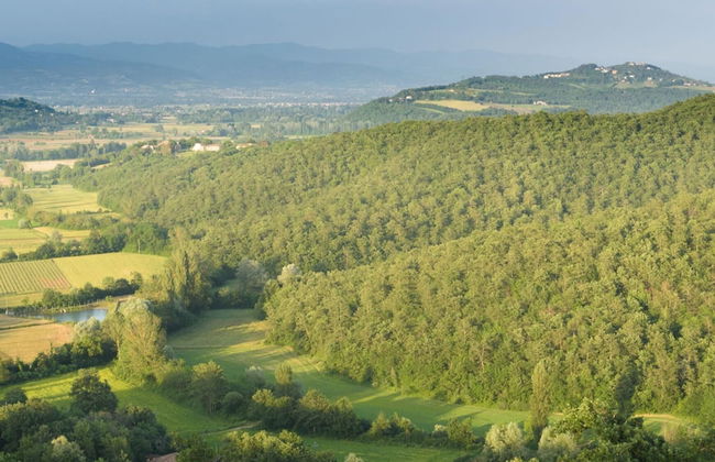 Ar-a291-loto0at - Villa Vittoria d Anghiari 7 3 - Photo 48