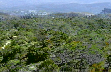 Teniqua Treetops - Foto 74