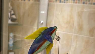 Ferienwohnung Sternenzauber - Foto 5