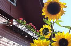 Finnhütte Hohe Klinge Trusetal - Foto 29