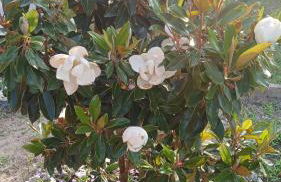 Ca' Giorgio - Foto 36