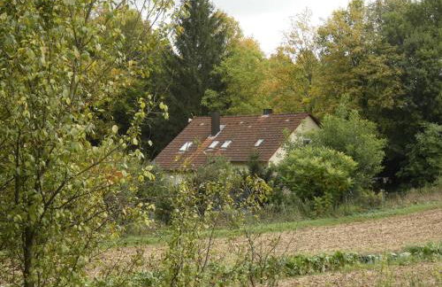 Goldener Fuchs in Moschendorf - Foto 8