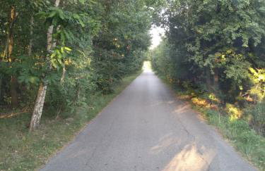 Apartament 1 - Foto 16