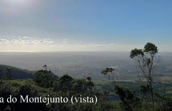 Murta's Home - Foto 35