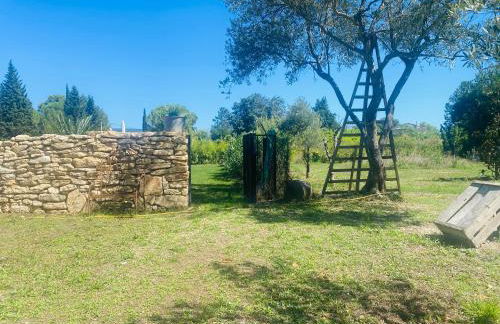Gîte Mas La Bohème Piscine Parking Privé L'Isle-Sur-La-Sorgue - Photo 15