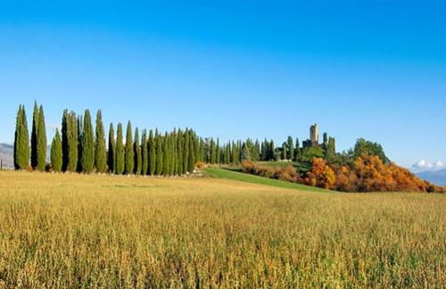 Da Nonna Gio' - Foto 14