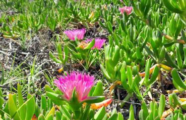 Vista Torre 2 - Foto 15