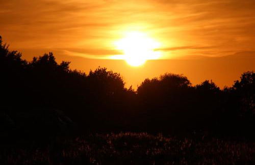 Das Landhaus Wohnung 1 - Foto 23