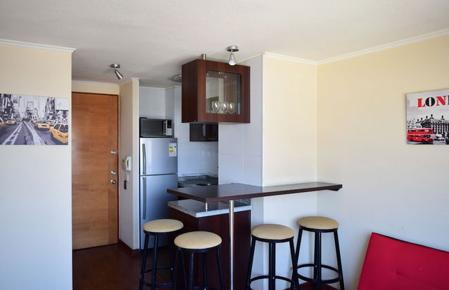 Santiago Furnished Apartments - Foto 16