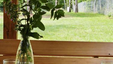 Staniewo Szumilas -nad jeziorem - Foto 5, Garden, Garden view