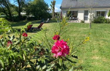 Terre d'ajoncs - Foto 1