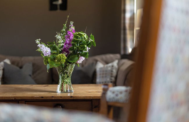 Lovely 2-bed Cottage in St Brides, Pembrokeshire - Foto 20