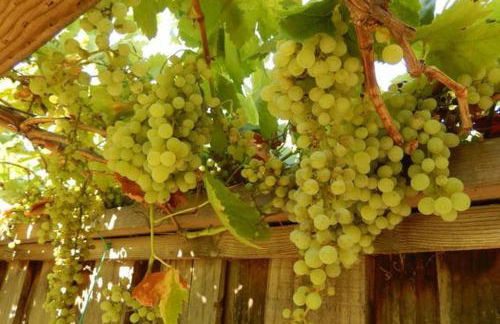 Beautiful Home in Quiet Area - Foto 3