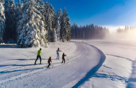 Ferienhaus Vogelsang - Foto 66