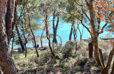 Holiday home Vaitiare - Photo 32