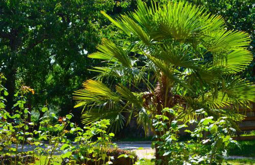 Golden Valley apartment & ranch - Foto 62