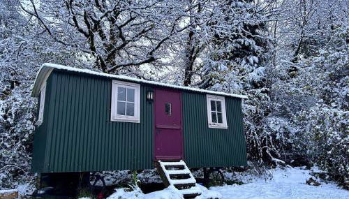 Cozy Cabin Retreat Near Chepstow - Foto 1