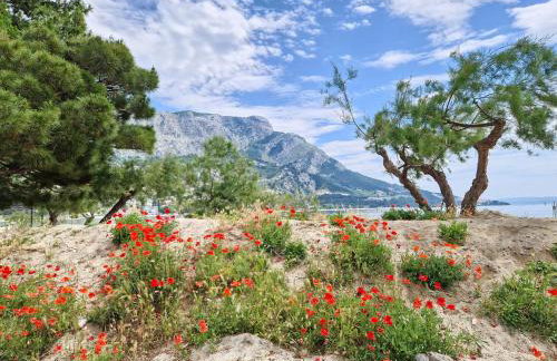 Apartman River Breeze - Foto 37