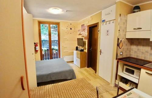 FOPPOLO apt.C101 - Photo 5