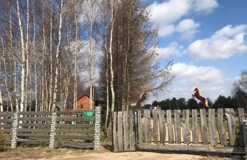 Sielanka Dąbrowa - Foto 21