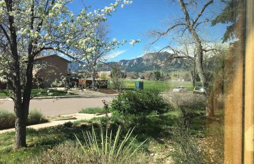 5 bedroom, 7 beds, 3 bath - Sleeps 12, Great for Families - Photo 14