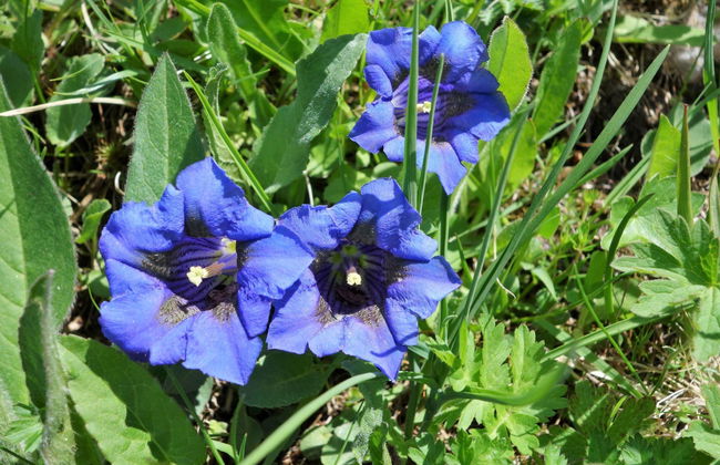 LuxLax 2. OG Süd - Foto 35