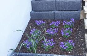 Kleines Glück - Foto 40