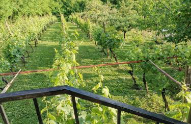 Villa Marijana - Foto 20