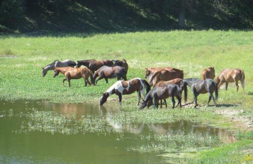 lake guest ranch - Foto 18