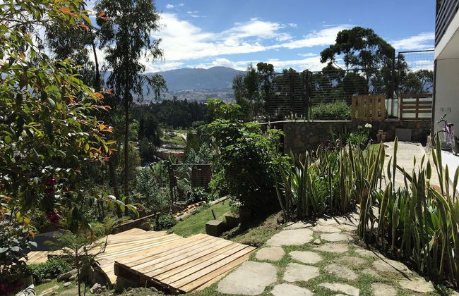 Bambu Sierra - Photo 55