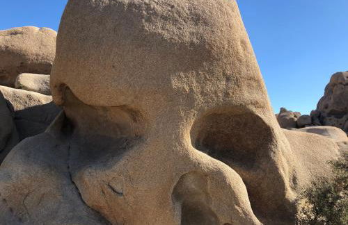 Shooting Star Lodge - Foto 41