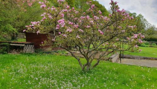 Ferienwohnung Haus Waldblick - Foto 5, Garden