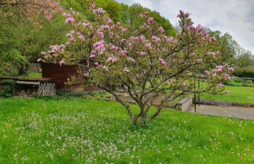 Ferienwohnung Haus Waldblick - Photo 5