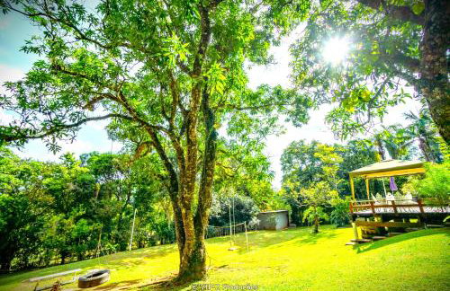 Chácara Atibaia com Casa na Árvore - Foto 66