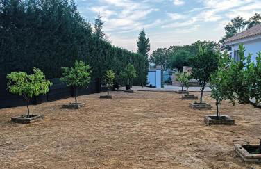 Finca Mis Morenas - Foto 29