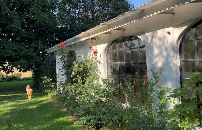 Bäddar & Ängar - Photo 74