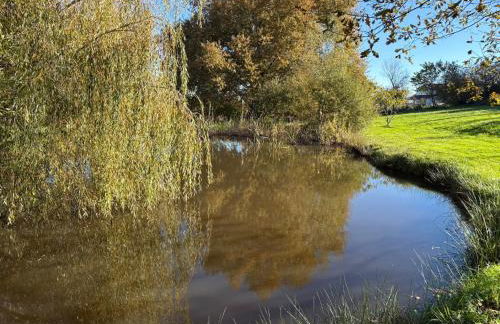 Le Jardin d'Elusa - Gîte le Chai - Photo 9