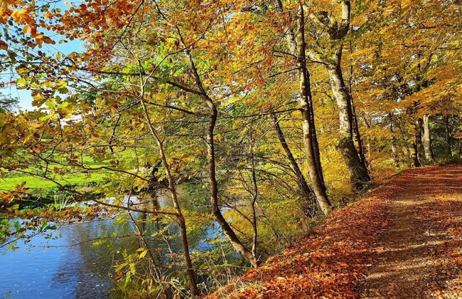 5 Person Holiday Home in Skanderborg-by Traum - Photo 28