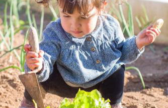 Agroturismo Llucmaçanes Gran - Foto 53