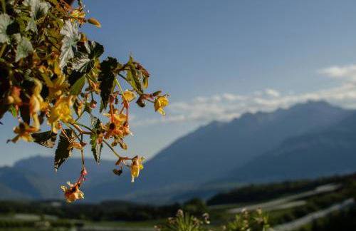 Agritur Coryletum - Foto 44