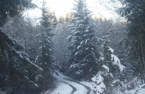 Apartment Lenz by Interhome - Foto 25