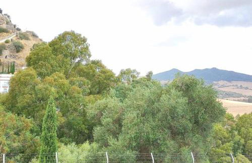 Beautiful Duplex with a Patio - Photo 31