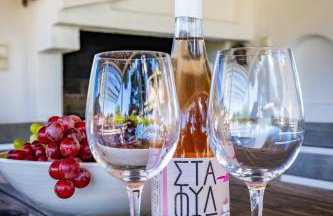 Villa Siraino - Ktima Skopelos - Foto 51